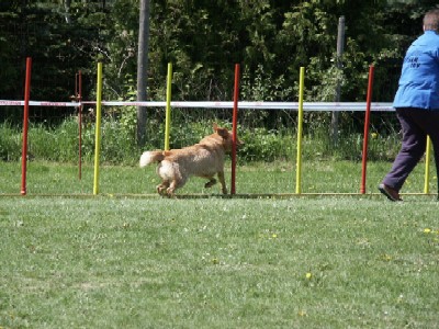 Endlich im Slalom des Jumping-Laufes