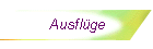 Ausflge