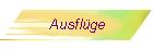 Ausflge