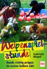 Welpenspielstunde