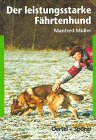 Der leistungsstarke Fährtenhund.