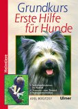 Grundkurs Erste Hilfe fr den Hund